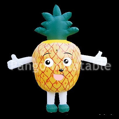 Inflatable ManufacturersGC035