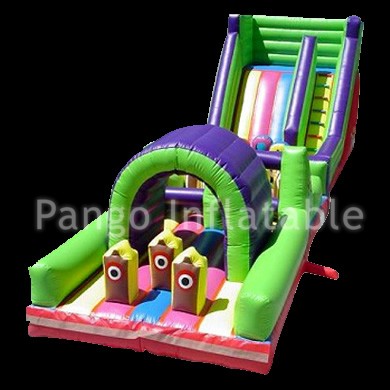 Mega Inflatable SlideGI020