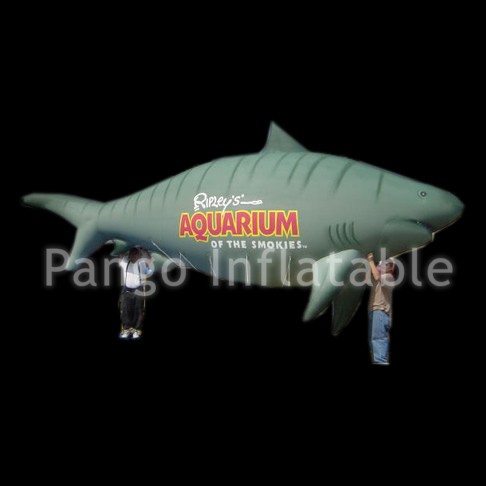 Inflatable Balloon For AdvertisingGO010